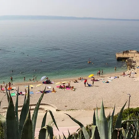 Mare